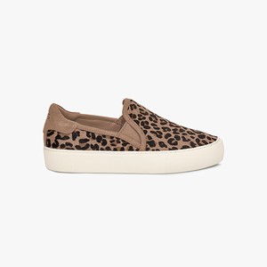 Ugg Jass Exotic Women Sneakers Black/Brown (2938CLAGX)